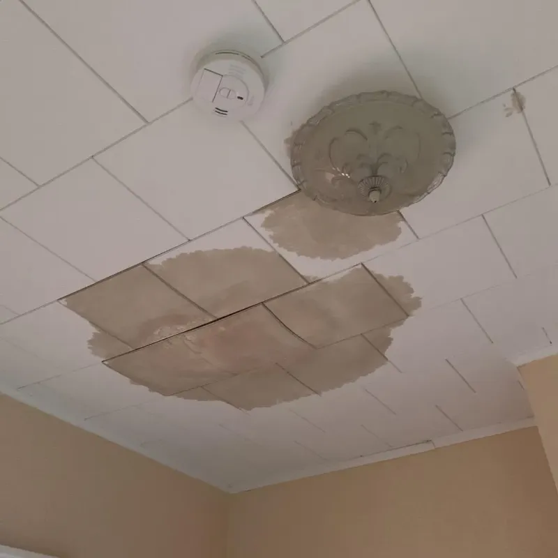 Ceiling Water Damage Repair in Frankton, IN