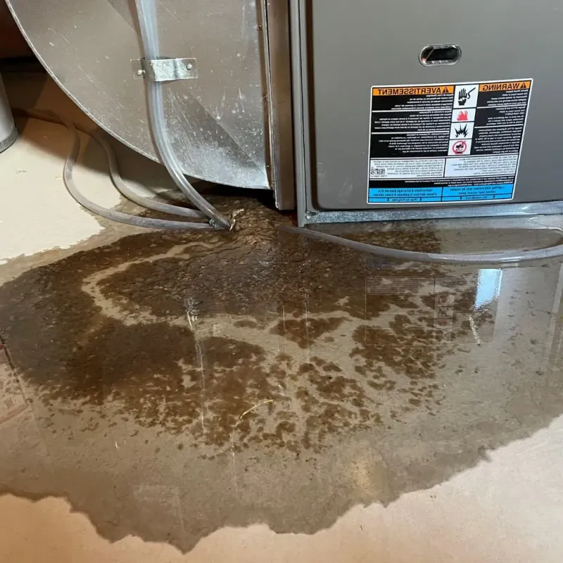 Pipe Burst and Leak Restoration in Frankton, IN