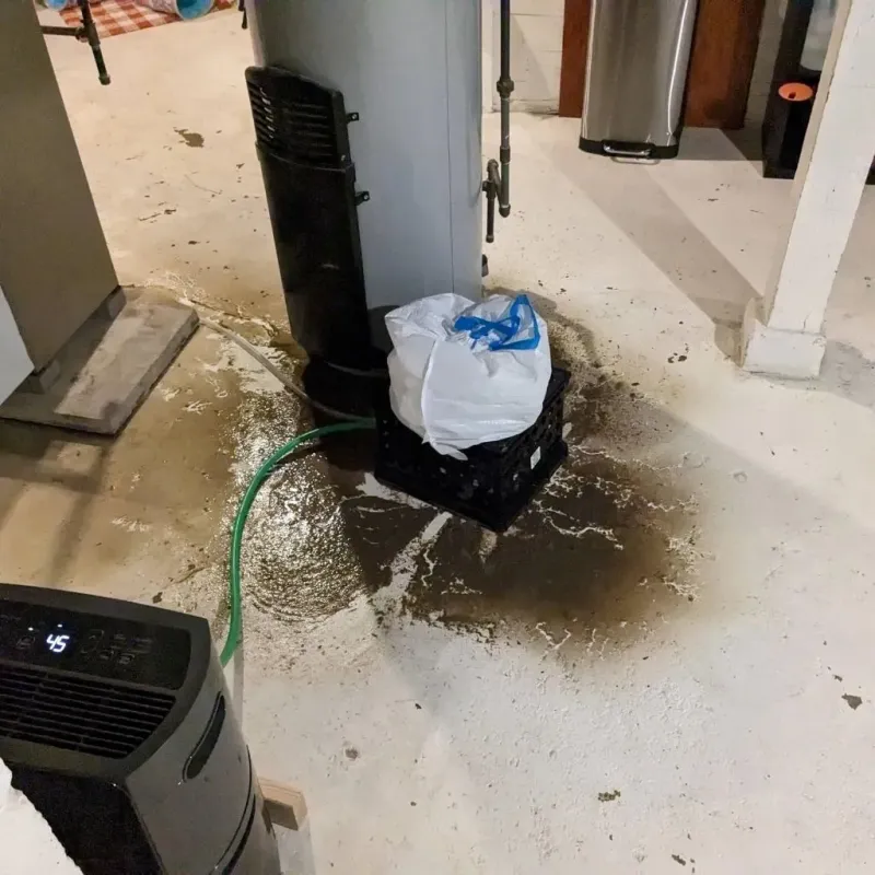 Sewage Backup Cleanup Service in Frankton, IN